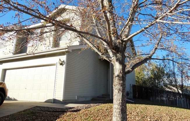 3 beds, 2 baths, $2,600