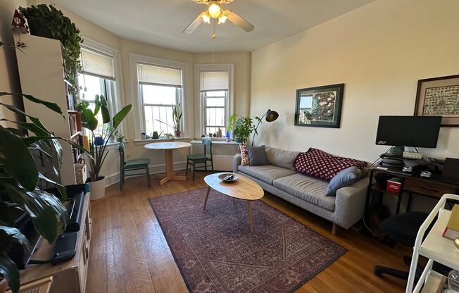 1 bed, 1 bath, 550 sqft, $2,700, Unit 66