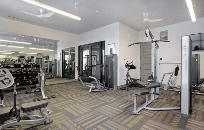 Fitness Center with Cardio and Strength Equipment