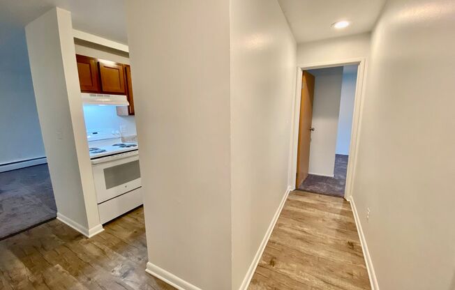 2 beds, 1 bath, 1,000 sqft, $1,295, Unit 206