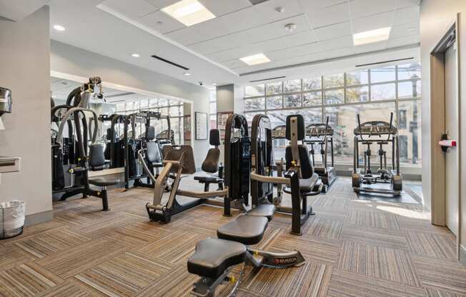 a gym with weights and cardio equipment in a building