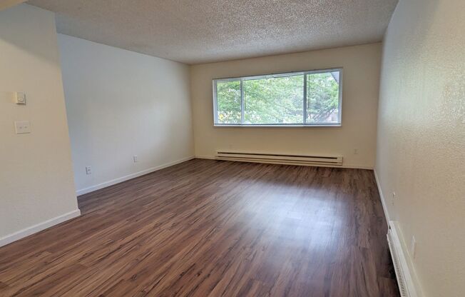 1 bed, 1 bath, 700 sqft, $1,125, Unit #33