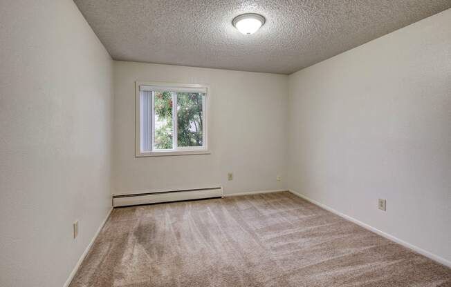 Arctic Sun Bedroom