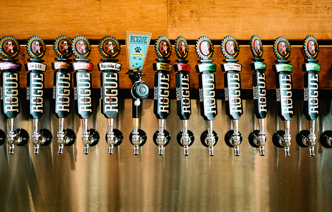 Beer on tap at local venue near Modera Buckman apartments