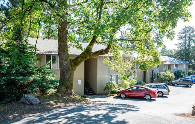 A tree in front of a building with a car parked in front of it.