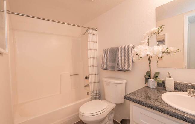 River Pointe model 1x1 bathroom