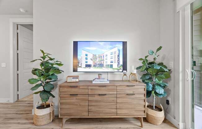 A TV is on a wooden cabinet in a room with two potted plants.
