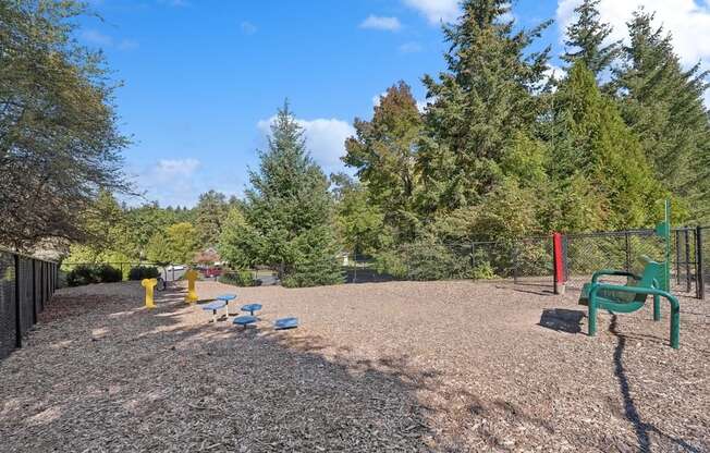 a park with a playground and trees