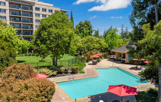 A pool surrounded by trees and umbrellas.