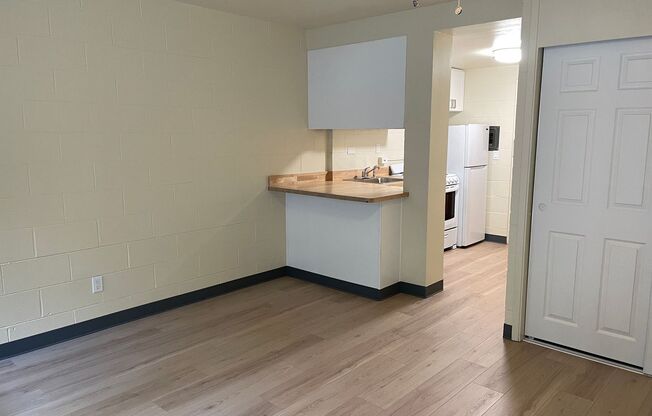 Studio, 1 bath, 267 sqft, $995, Unit 111