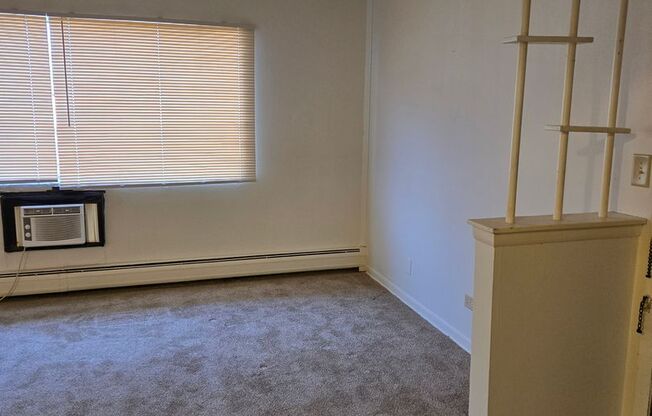 10364 Michael Todd Terrace  Management