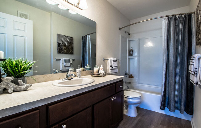 Large Bathroom Vanity Area at Killian Lakes Apartments and Townhomes, Columbia, 29203