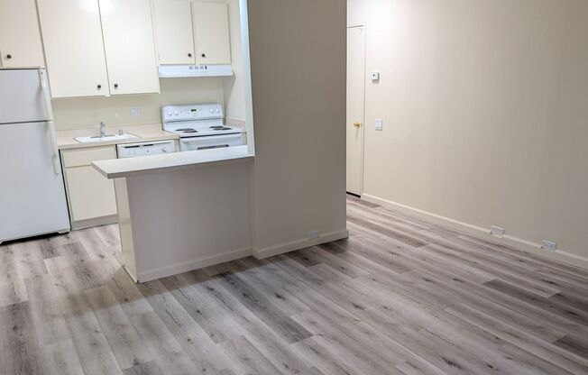 1 bed, 1 bath, 531 sqft, $1,500, Unit 161124