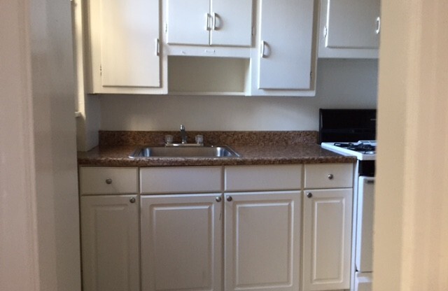 1 bed, 1 bath, 550 sqft, $1,450, Unit 308