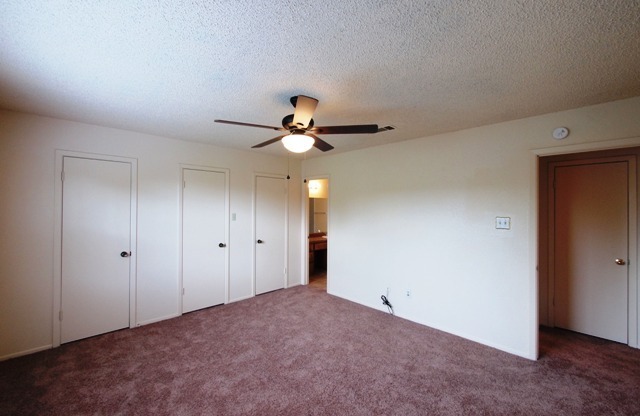 3 beds, 2 baths, $1,200