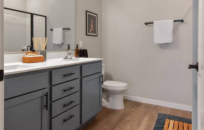 a bathroom with a toilet and a sink and a mirror