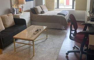 Studio, 1 bath, 306 sqft, $3,000, Unit 7I