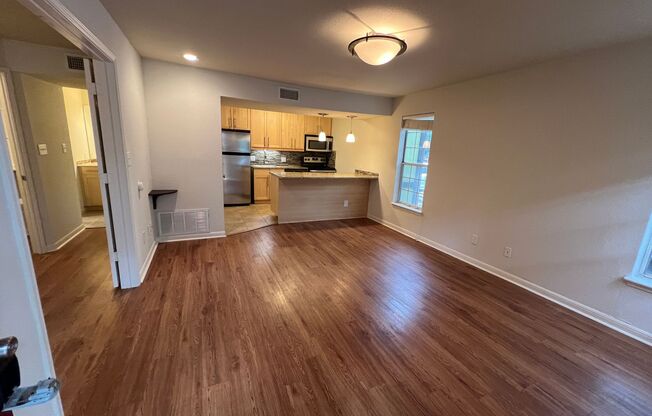 Fantastic Luxury 1-1 in the heart of Allandale