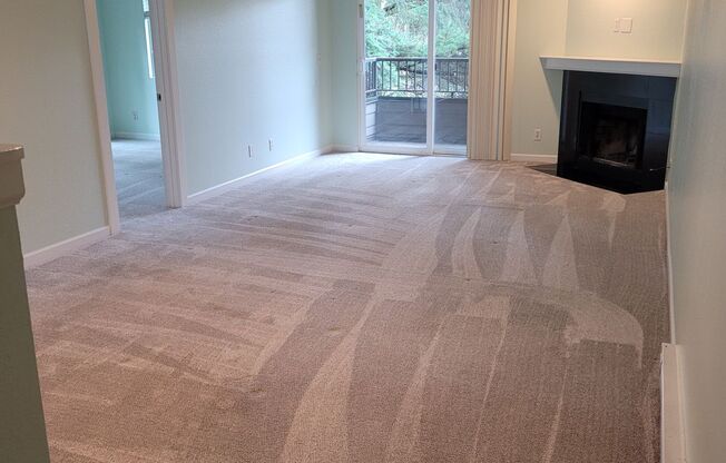 Updated Condo Close to Google and Downtown Kirkland