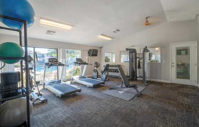 Belara Lakes Apartments in Tampa Florida photo of fitness center
