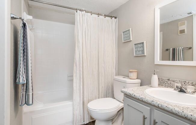 1 bed, 1 bath, 504 sqft, $919