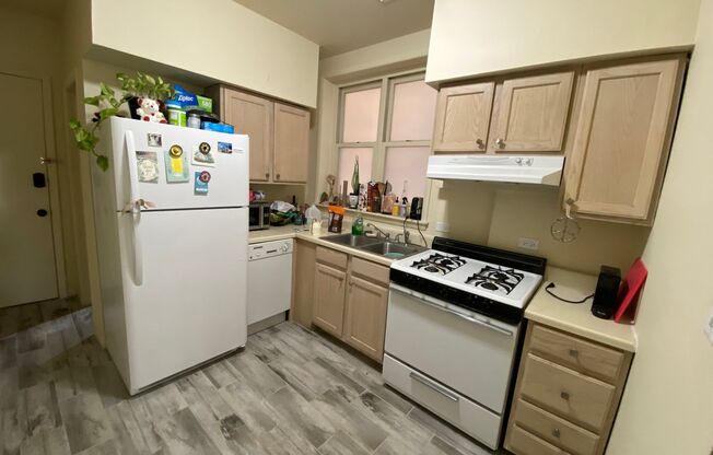 2Bedroom DePaul University Campus PetsWelcome