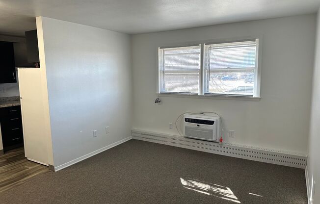 Studio, 1 bath, 471 sqft, $695