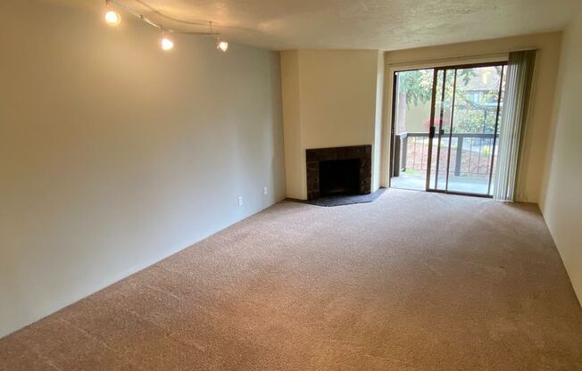 1 bed, 1 bath, 700 sqft, $1,475, Unit 0019