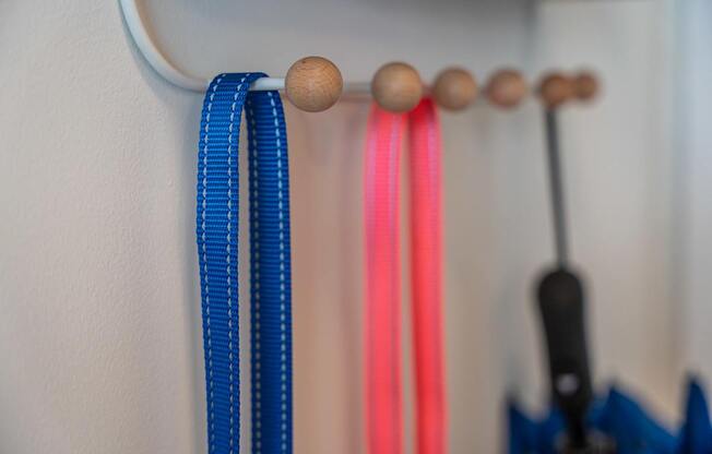 Leashes hanging on front door shelf at the Mastlight.