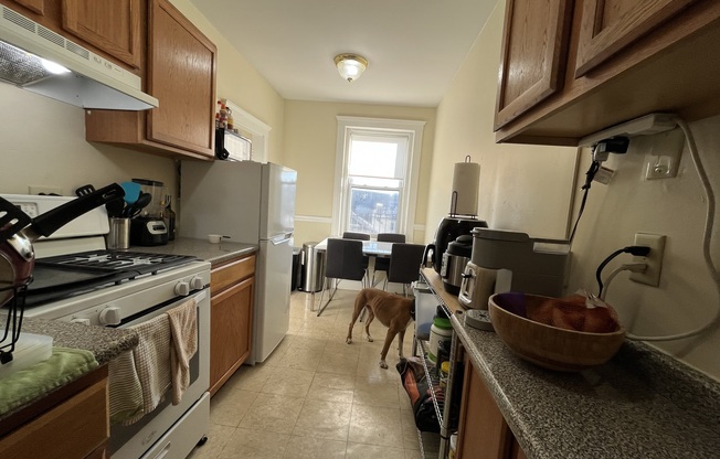 55 Linden St