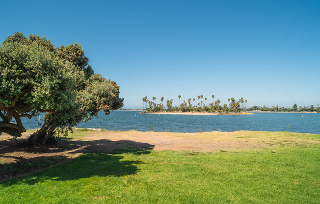 Feel The Breeze from Mission Bay Park