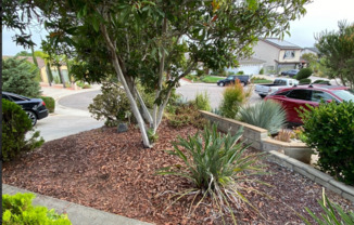 4 beds, 2.5 baths, $4,950