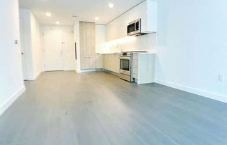 1 bed, 1 bath, $3,100, Unit 19D