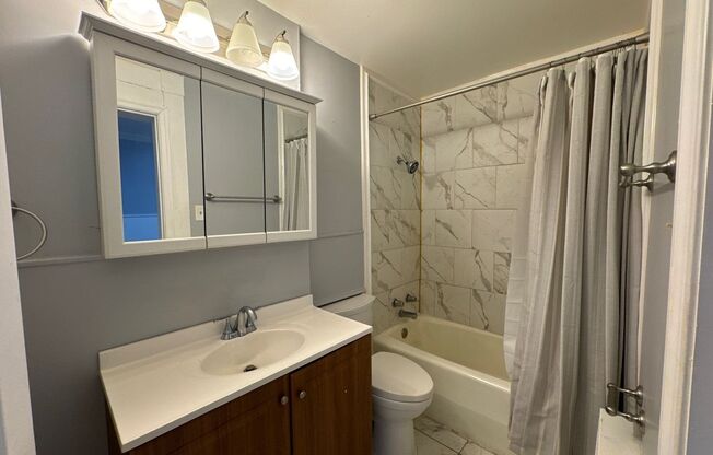 Studio, 1 bath, $1,195, Unit 3B