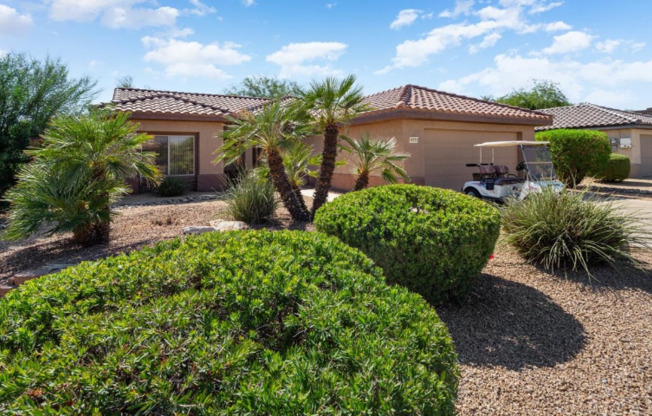 16171 W WILDFLOWER DR