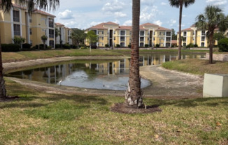 1125 Lake Shadow Cir 5303