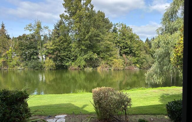 MOVE IN SPECIAL!! Lakefront Living in sought 60/01 complex
