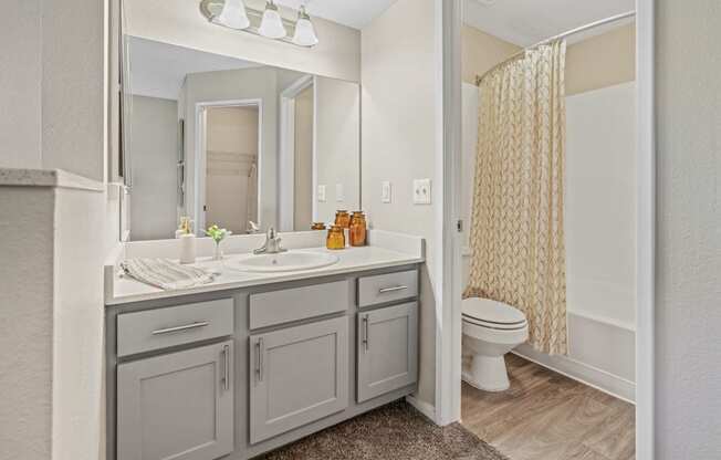 Bathroom vanity at Village at Desert Lakes