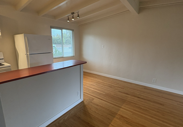 12 Pacheco St, San Rafael CA 7