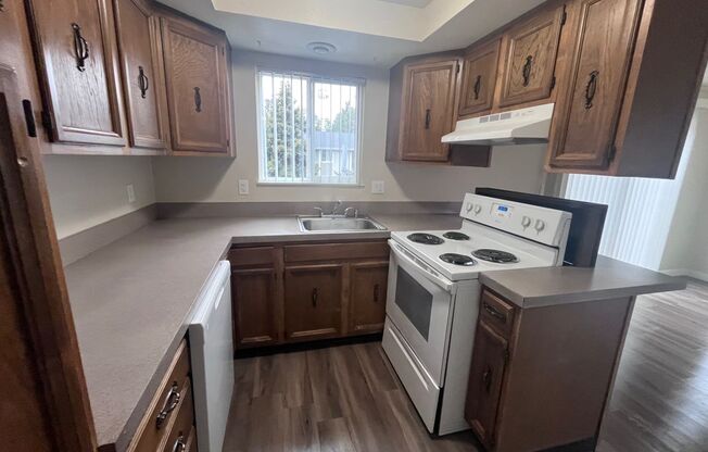 Central Park - The Oaks