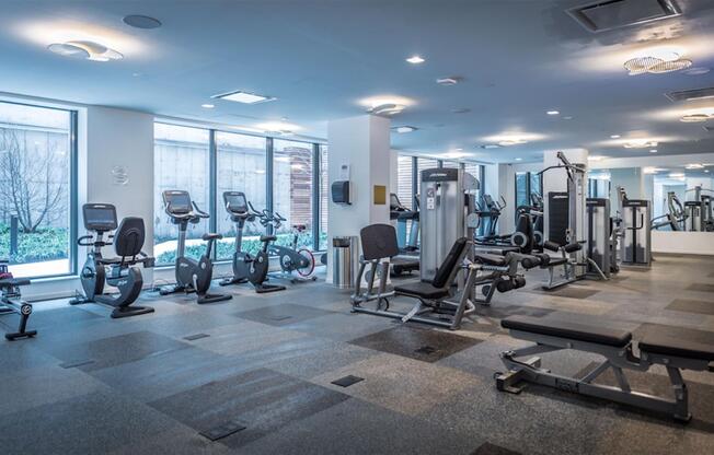 Studio, 1 bath, 560 sqft, $4,183, Unit 9L