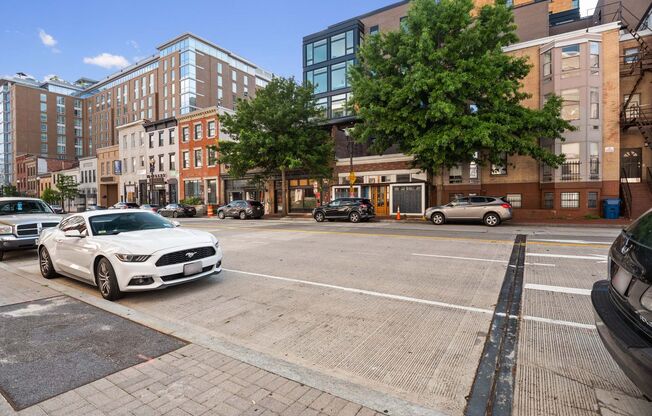 1 bed, 1 bath, $1,600