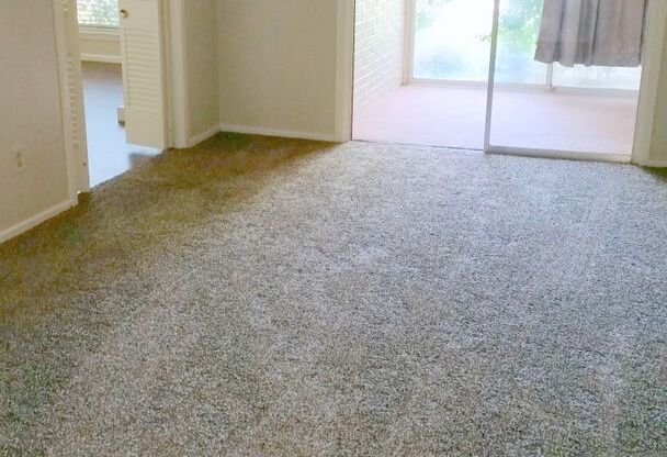 1 bed, 1 bath, 1,177 sqft, $799