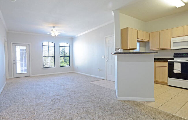 apartment with open floor plan