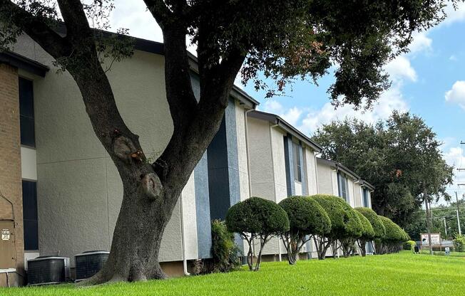 a tree in front of a building