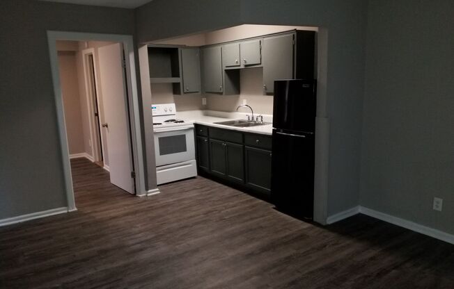 Studio, 1 bath, 800 sqft, $725, Unit 4D