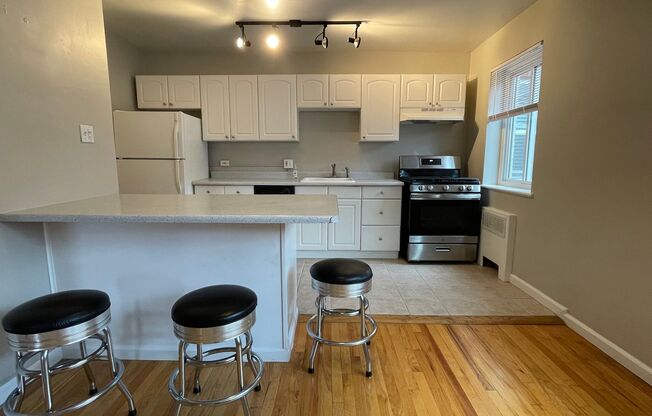 1 bed, 1 bath, $1,295, Unit APARTMENT 305