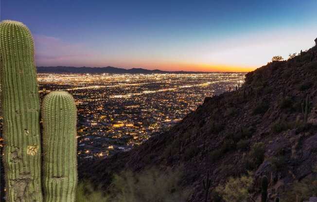 Cactus & Phoenix skyline photo at Marquee Apartments in Phoenix AZ