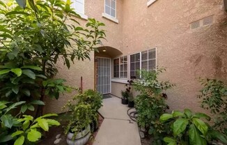11209 TERRA VIS
