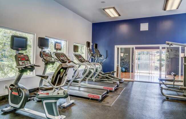 A gym with treadmills and exercise bikes.